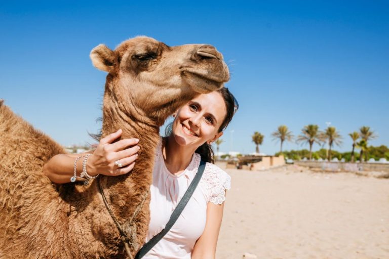 Miniatura dell'immagine del tour